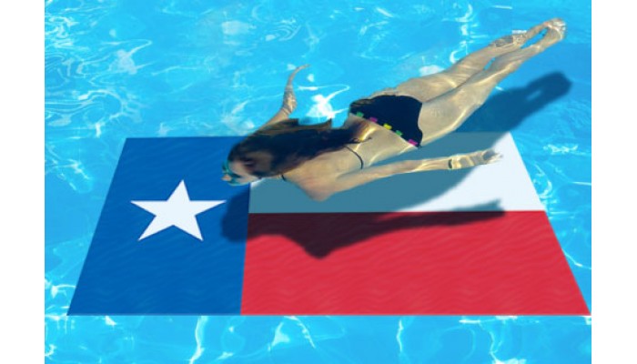 Texas Flag 5' x 3'